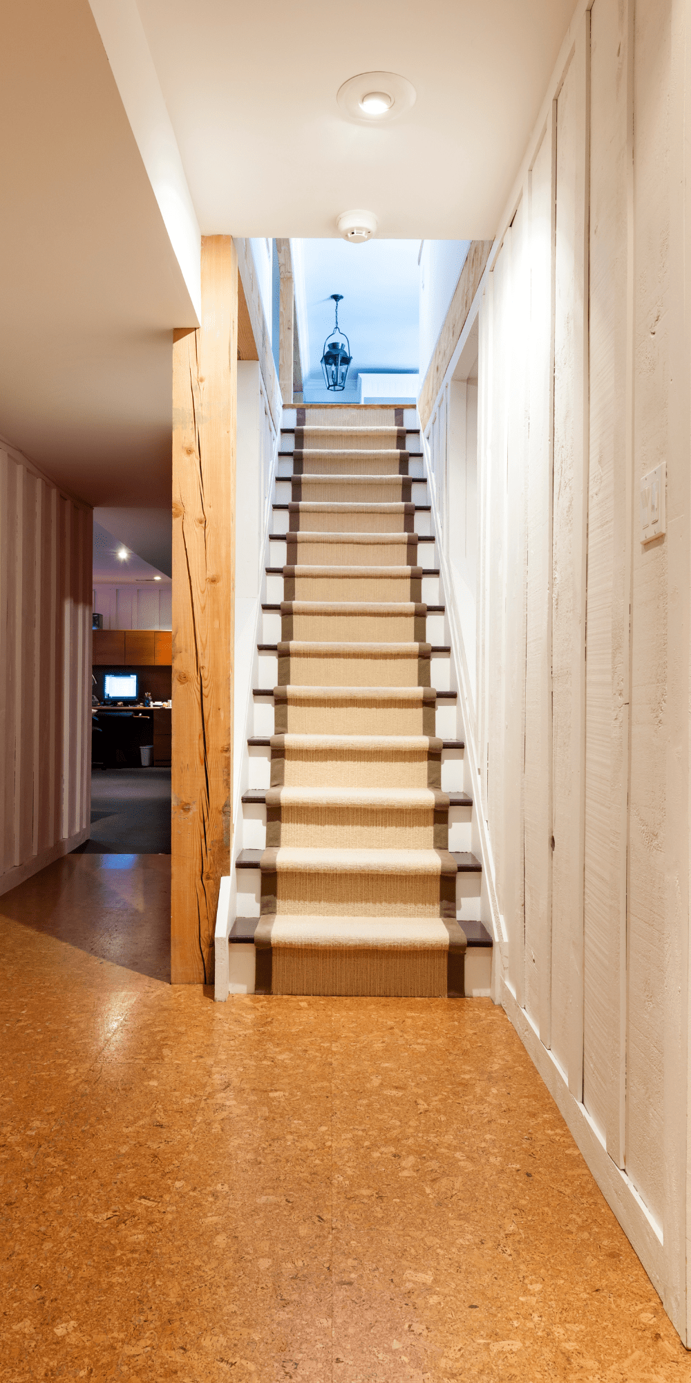 Basement renovation